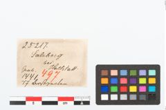 Etikett zu Perlenkette (NHMW-PRAE-025217)